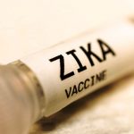 Chưa cấp phép cho vắc-xin Zika trước năm 2020